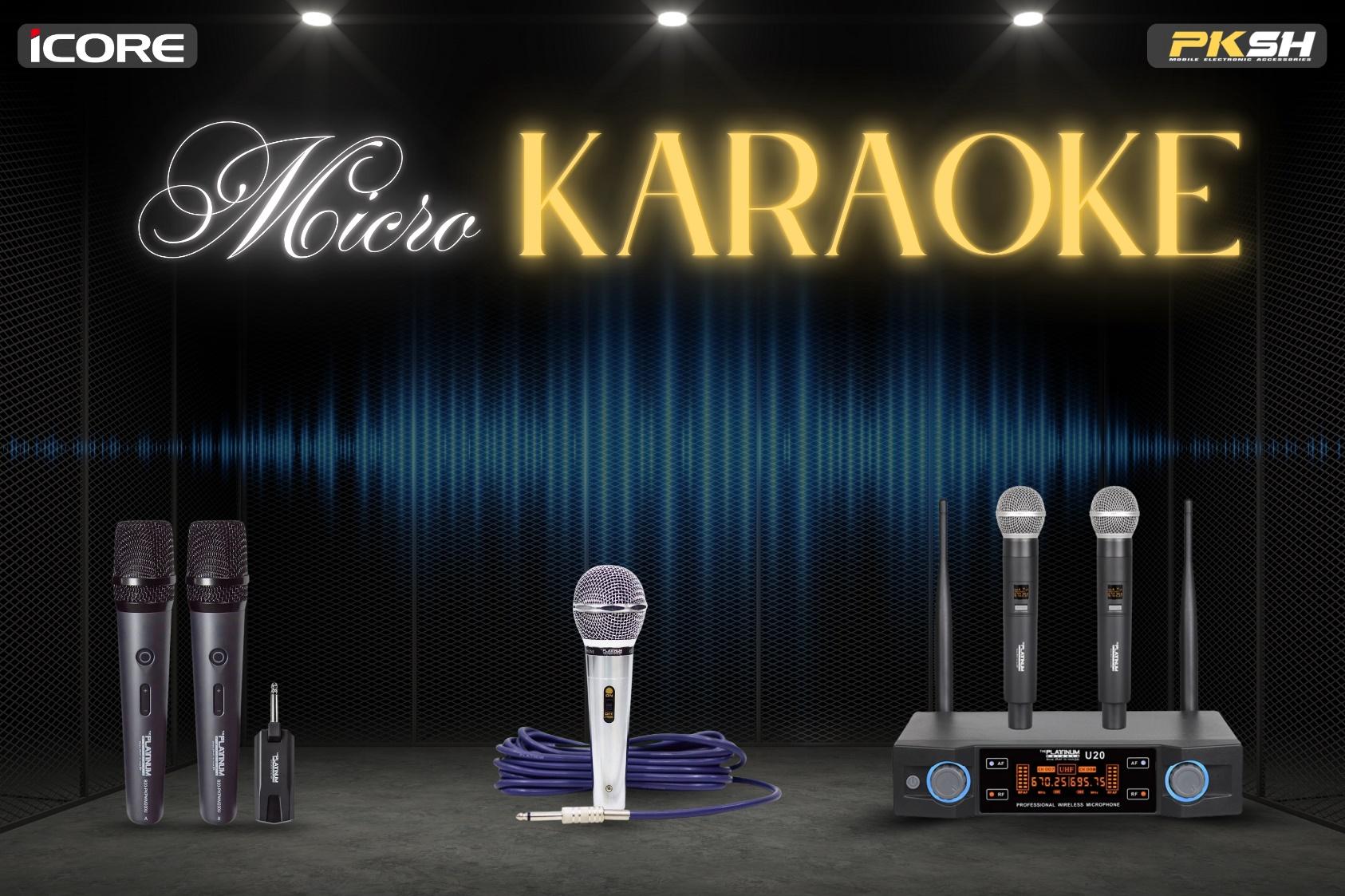 Micro karaoke riêng biệt đa dạng lựa chọn Micro karaoke chất lượng cao